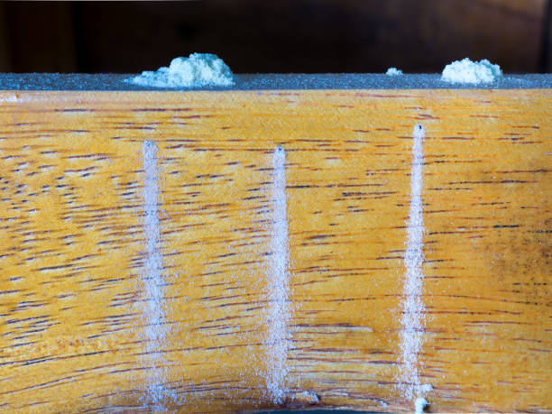 istock Wooden chairs damaged by ambrosia beetle. 1281402568