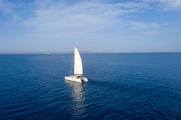 istock Sailing boat catamaran with white sails, cloudy sky and rippled sea background 1281404019