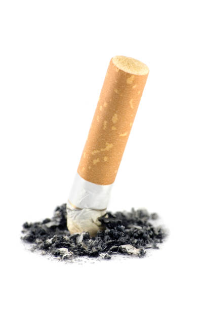 istock Cigarette butt macro closeup, isolated vertical large detailed quitting concept studio shot 1281404444