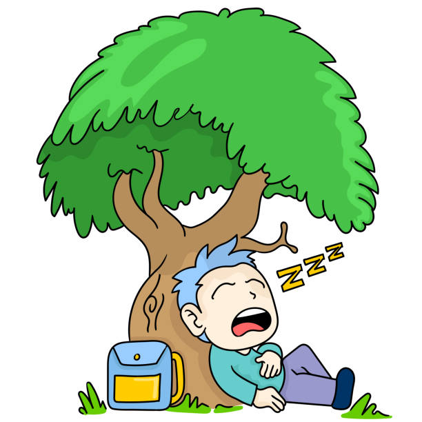 Tree Sleep Tree Falling Asleep A Cute Koala Relaxing In A Tree And Falling Asleep