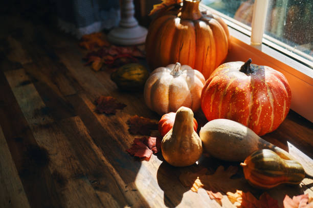 istock Autumn Decoration Background with Pumpkins 1281409475