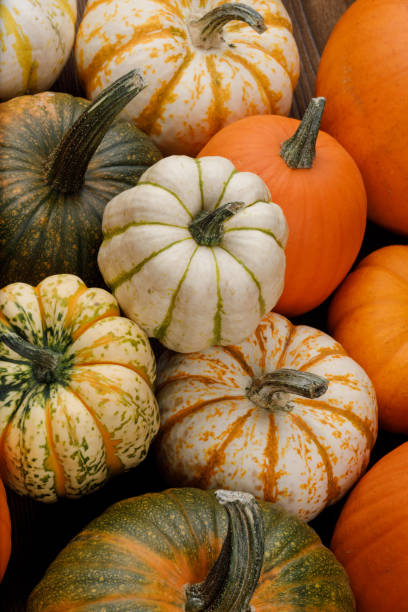 istock Assortiment of pumpkins background 1281410812