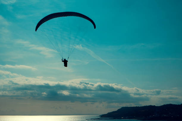 istock Skydiver parachuting over clear seas 1281410860