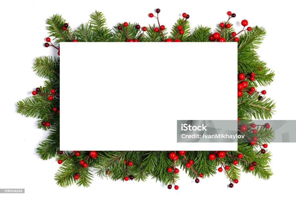 Christmas frame of tree branches Christmas Border frame of tree branches and red berries on white background with copy space isolated Christmas Stock Photo