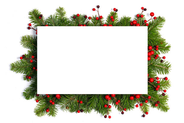 Christmas frame of tree branches Christmas Border frame of tree branches and red berries on white background with copy space isolated pinaceae photos stock pictures, royalty-free photos & images