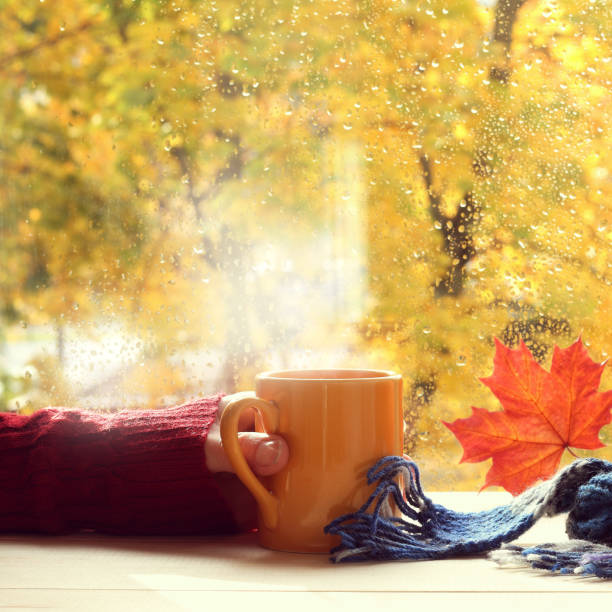 istock warming atmosphere of home comfort 1281416684