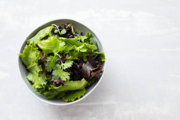 istock fresh green salad in beautiful bowl on ceramic background 1281420657