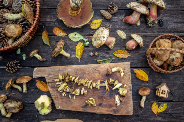 istock preparation of fresh mushrooms for drying 1281420774