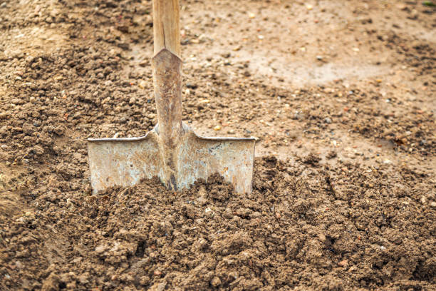 istock shovel in dirt 1281423380