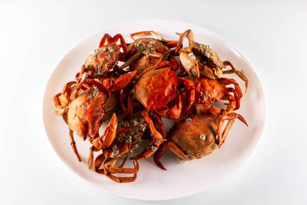 istock plate with boiled crabs and crab meat 1281425282
