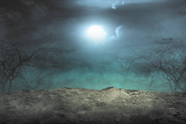 istock Haunted forest with fog and moonlight background 1281425427