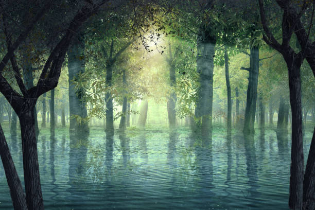 istock Haunted forest with lake and sunlight background 1281426457
