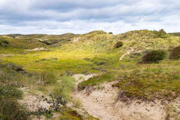 istock Landscape with dunes under a clouded sky, national park Meijendel 1281426579