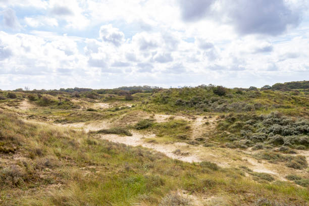 istock Landscape with dunes under a clouded sky, national park Meijendel 1281426582