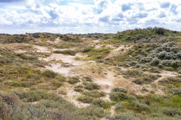 istock Landscape with dunes under a clouded sky, national park Meijendel 1281426583