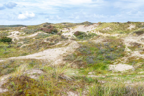 istock Landscape with dunes under a clouded sky, national park Meijendel 1281426584