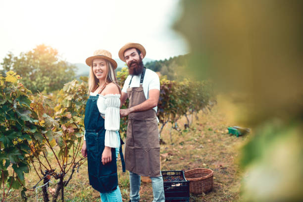 istock Cute Winemaking Couple Making Sure Grape Harvest Are Going Well 1281427153