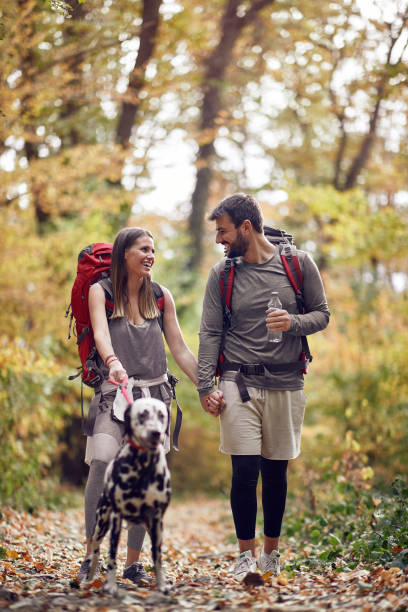 istock A young couple and their dog at hiking 1281428513