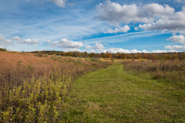 istock Meadow in Autumn on a delightful sunny day 1281428589