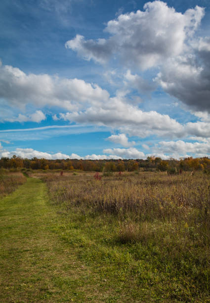 istock Meadow in Autumn on a delightful sunny day 1281428593