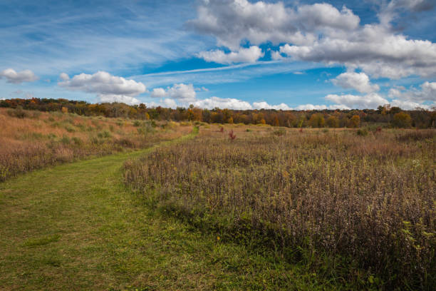 istock Meadow in Autumn on a delightful sunny day 1281428627