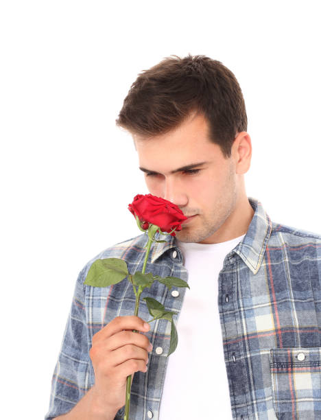istock Romantic young man smelling red rose isolated on white. Mock up and copy space. Valentines day 1281429321