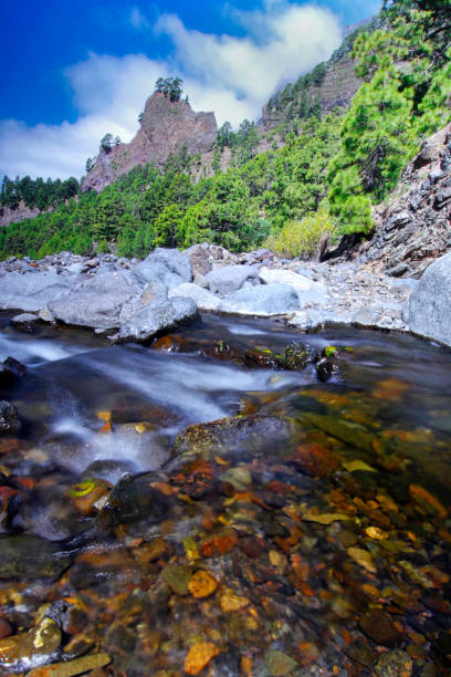 taburiente river, caldera de taburiente nationalpark, spanien - bioreserve vertical spain europe stock-fotos und bilder