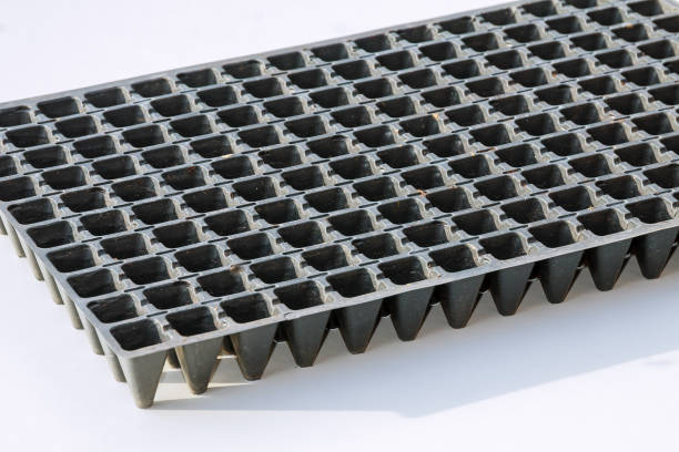 istock Black plastic seedling cassettes for vegetable crops. 1281435400