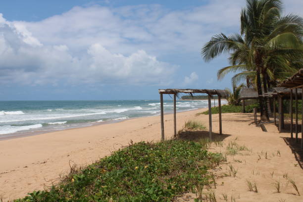 istock cabana on the desert brazilian beach 1281435765