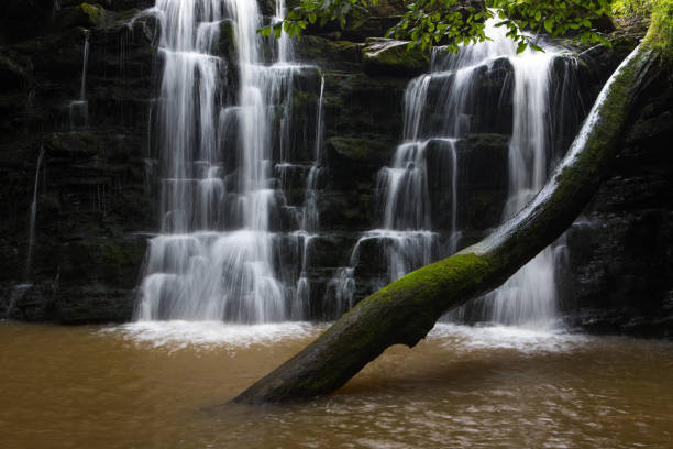 versteckter kaskadenwasserfall in einer tiefen schlucht mit rieselndem weißwasser. forest of bowland, ribble valley, lancashire - ribble stock-fotos und bilder