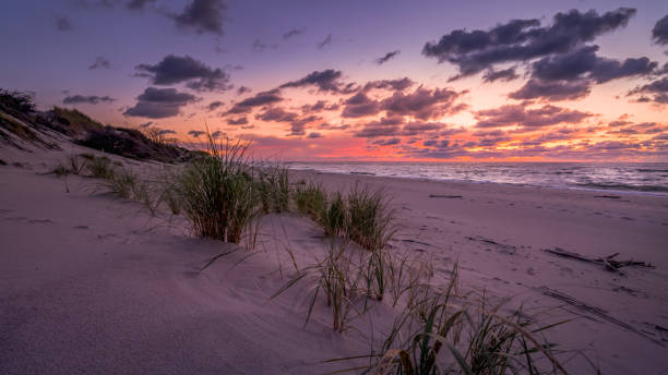 istock beautiful magenta sunset over the sea with sandy shore 1281436778
