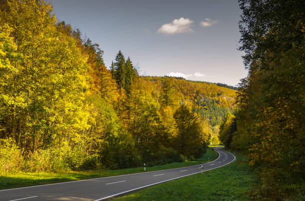istock Road through autumn forest in the Upper Danube Valley, Baden-Wuerttemberg, Germany 1281438314