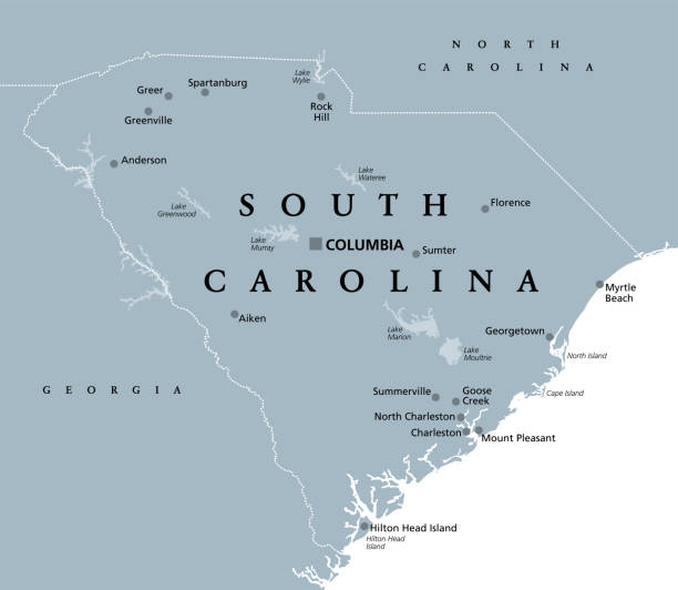 South Carolina, SC, gray political map, The Palmetto State South Carolina, SC, gray political map, with capital Columbia, largest cities and borders. State in the southeastern region of the United States of America. The Palmetto State.  Illustration. Vector. georgia us state stock illustrations