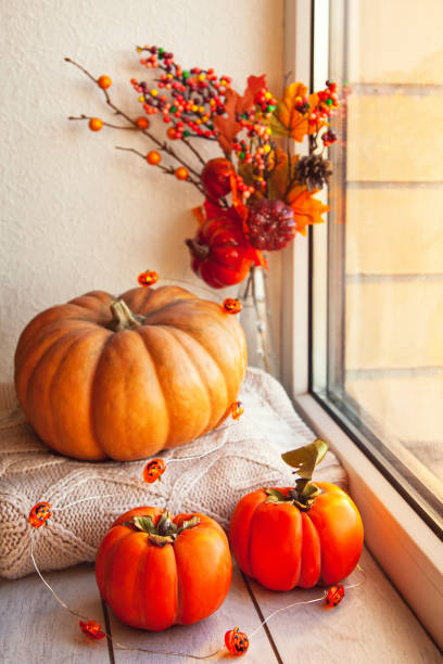 istock Cozy autumn still life on the windowsill: pumpkin, warm wool sweaters, maple leaves and persimmon 1281439941