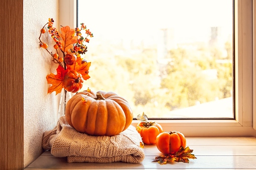 Cozy autumn still life on the windowsill with copy space: pumpkin, warm wool sweaters,,maple leaves and persimmon.