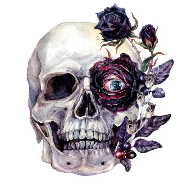Vector illustration of Watercolor Skull and Flowers Halloween Illustration