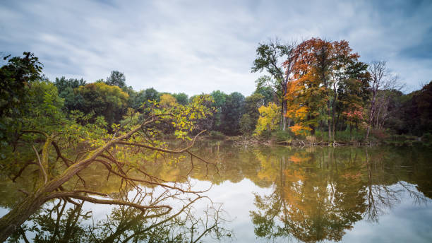 istock Pond at Akademiepark in Wr. Neustadt 1281443191