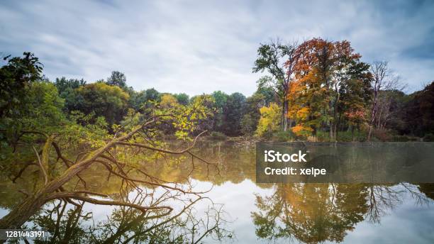 Pond At Akademiepark In Wr Neustadt Stock Photo - Download Image Now - Austria, Autumn, Autumn Leaf Color