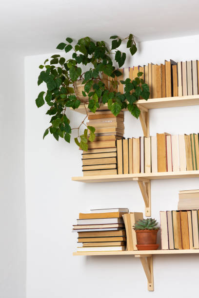 istock Indoor flowers on the bookshelves 1281444423
