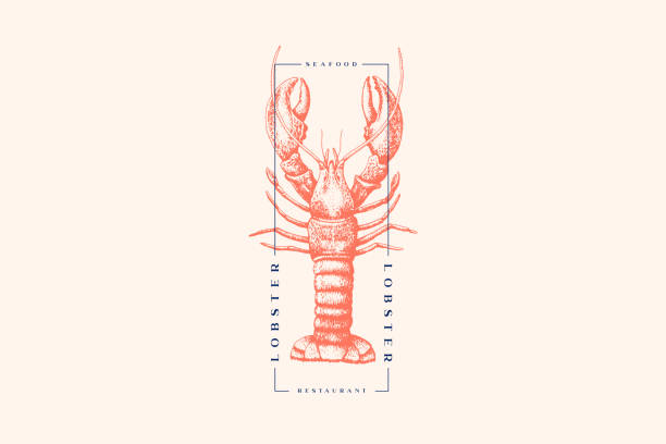 Graphically drawn lobster. Graphically drawn lobster. Hand-drawn retro logo with sea animal in the style of engraving. Can be used for menu restaurants, fish markets and in stores. Vector vintage illustration. seafood stock illustrations