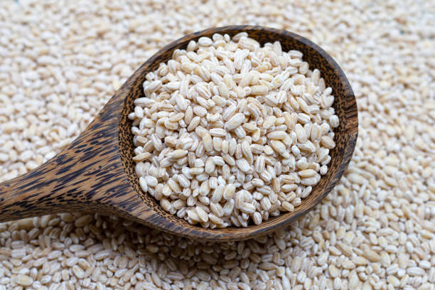 istock Barley grain in wooden spoon on barley grain background. 1281447299