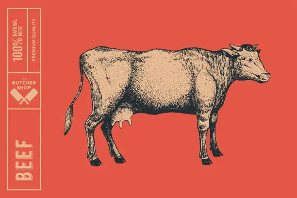 Vector illustration of Graphic hand-drawn cow on a red background.