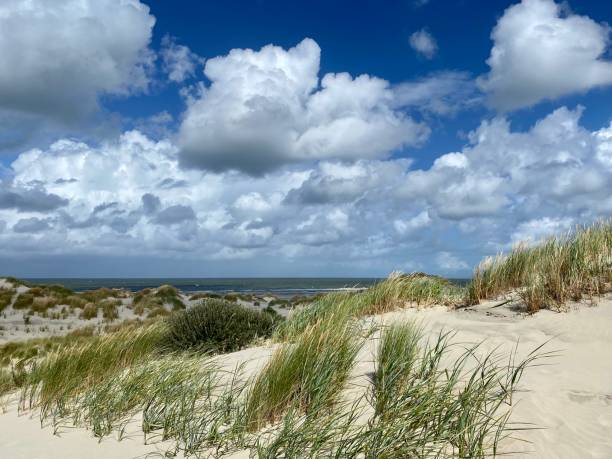 istock Clouds over the beach of Terschelling 1281449542