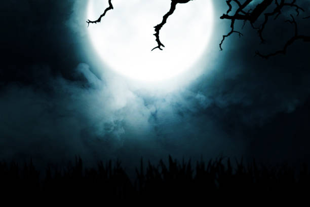 istock silhouette of grass with smoke and moonlight 1281451332