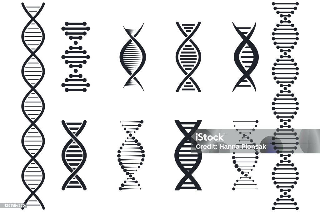 Set of DNA icons. Genetic signs. Medical symbols. Structure molecule and chromosome. DNA stock vector