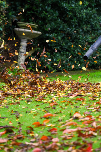 istock A man using a leaf blower machine to clear autumn leaves from a garden during fall 1281454420