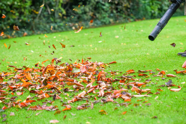 istock A man using a leaf blower machine to clear autumn leaves from a garden during fall 1281454426