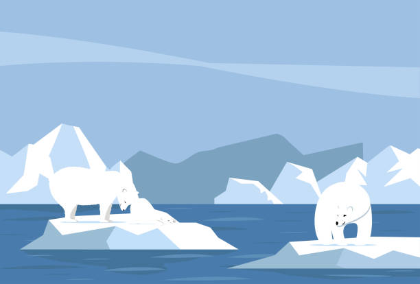 erderwärmung mit eisbär- und jungtierkonzept - polar bear arctic global warming nature stock-grafiken, -clipart, -cartoons und -symbole
