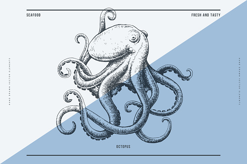 Hand-drawn image of an octopus on a light background. Ocean animal. Retro picture for the menu of fish restaurants, markets and shops. Vector illustration in vintage engraving style.