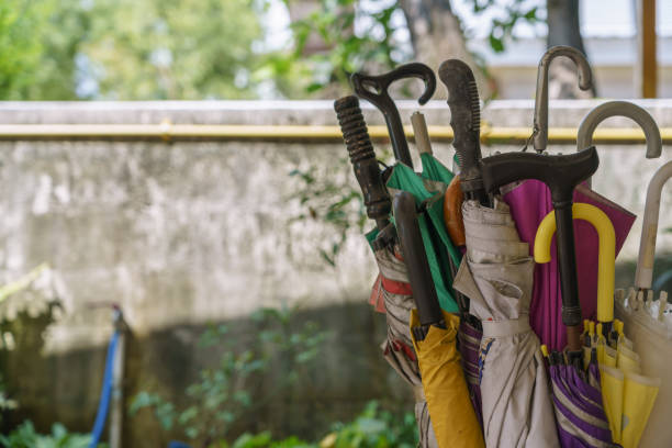 Many umbrellas are placed in the umbrella storage. Each umbrella has a variety of handles.